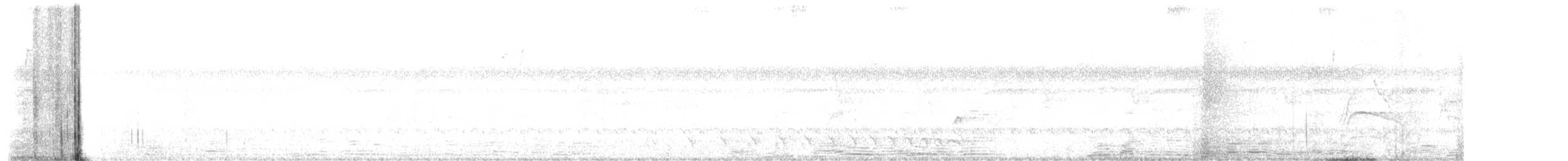 Bar-crested Antshrike - ML659351668