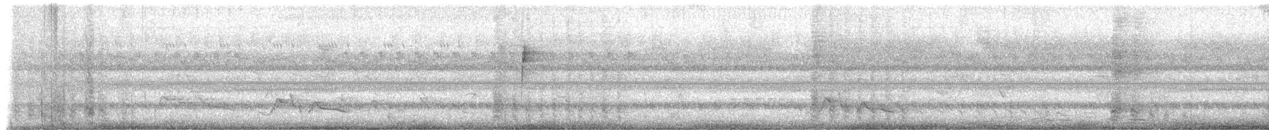 Band-backed Wren - ML659351716