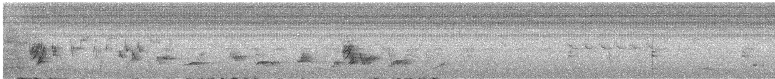 House Finch - ML659351971
