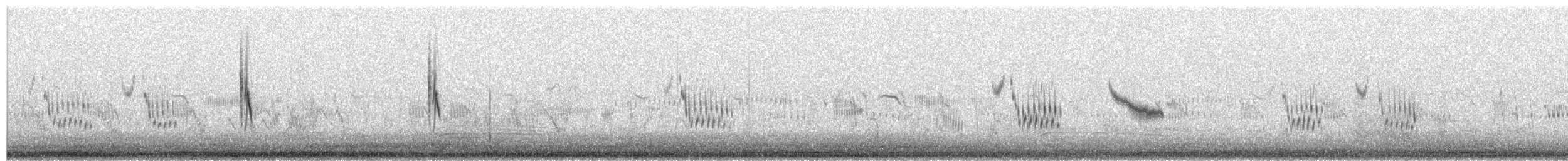 Tickell's Leaf Warbler (Alpine) - ML659361245