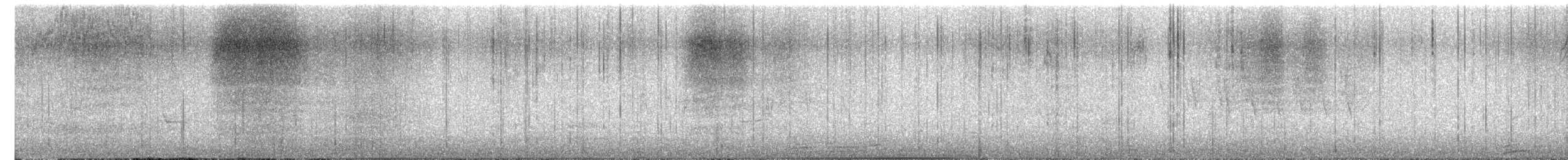 Wilson's Warbler - ML659368579