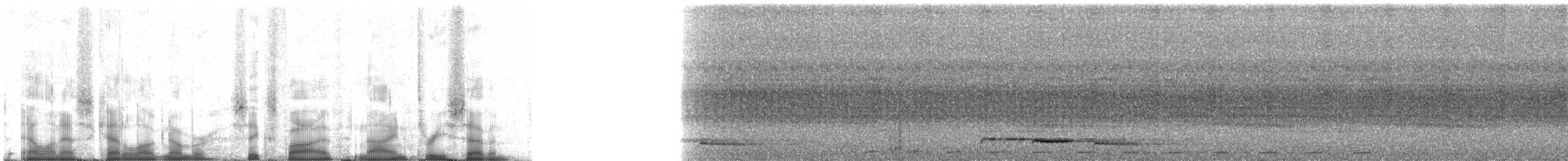 hvitkronegjøk - ML65937