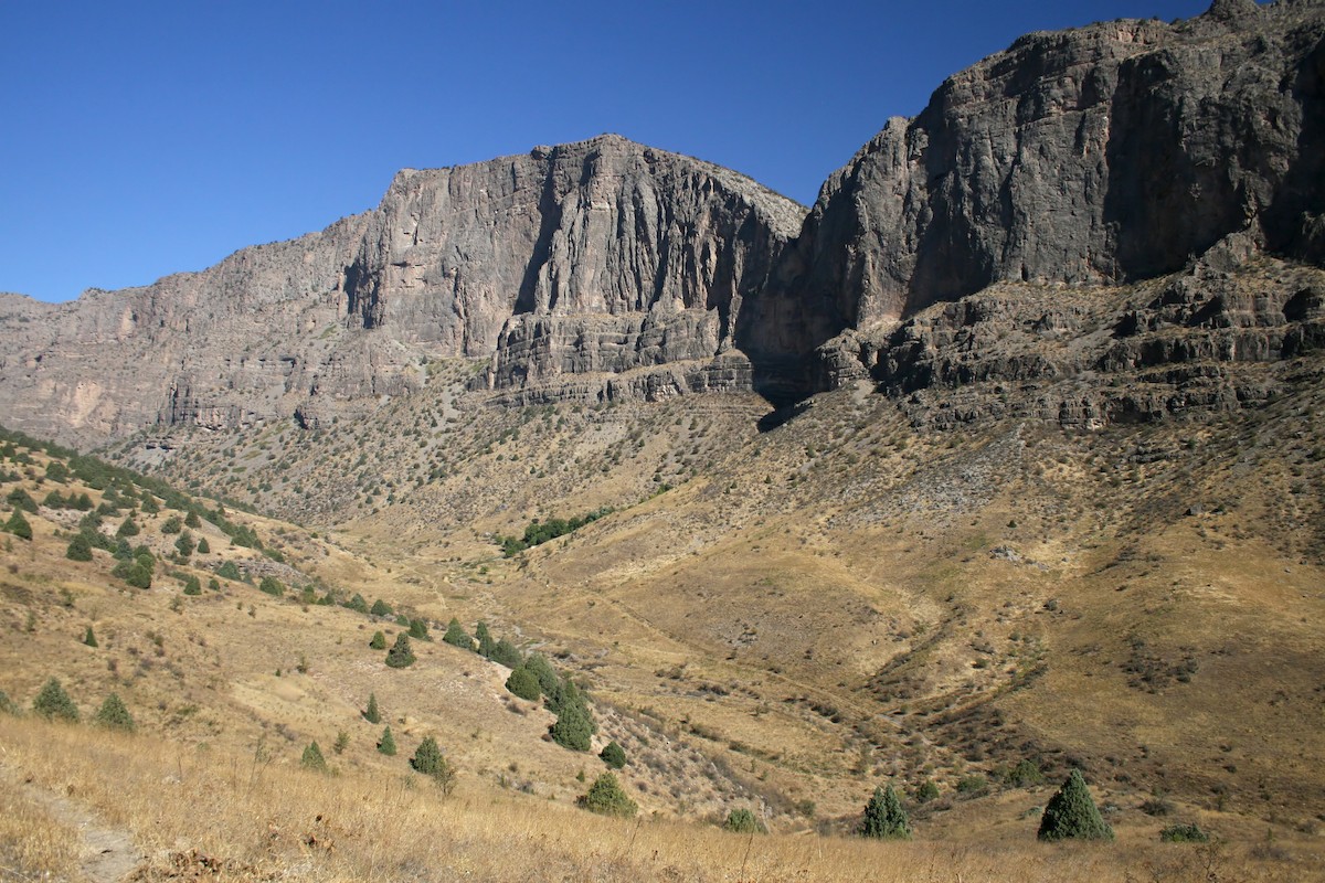 null - ML659376559