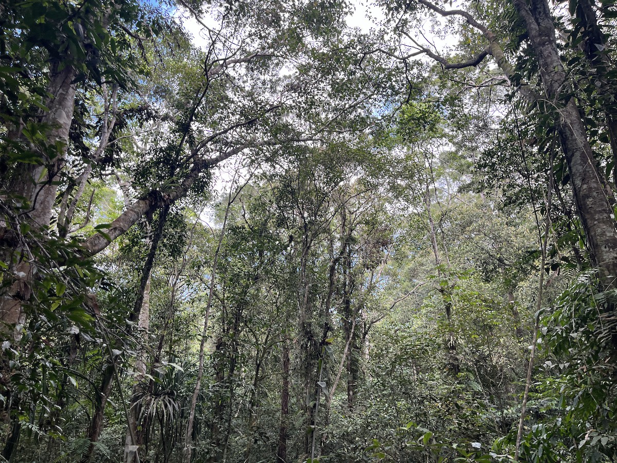null - ML659379350