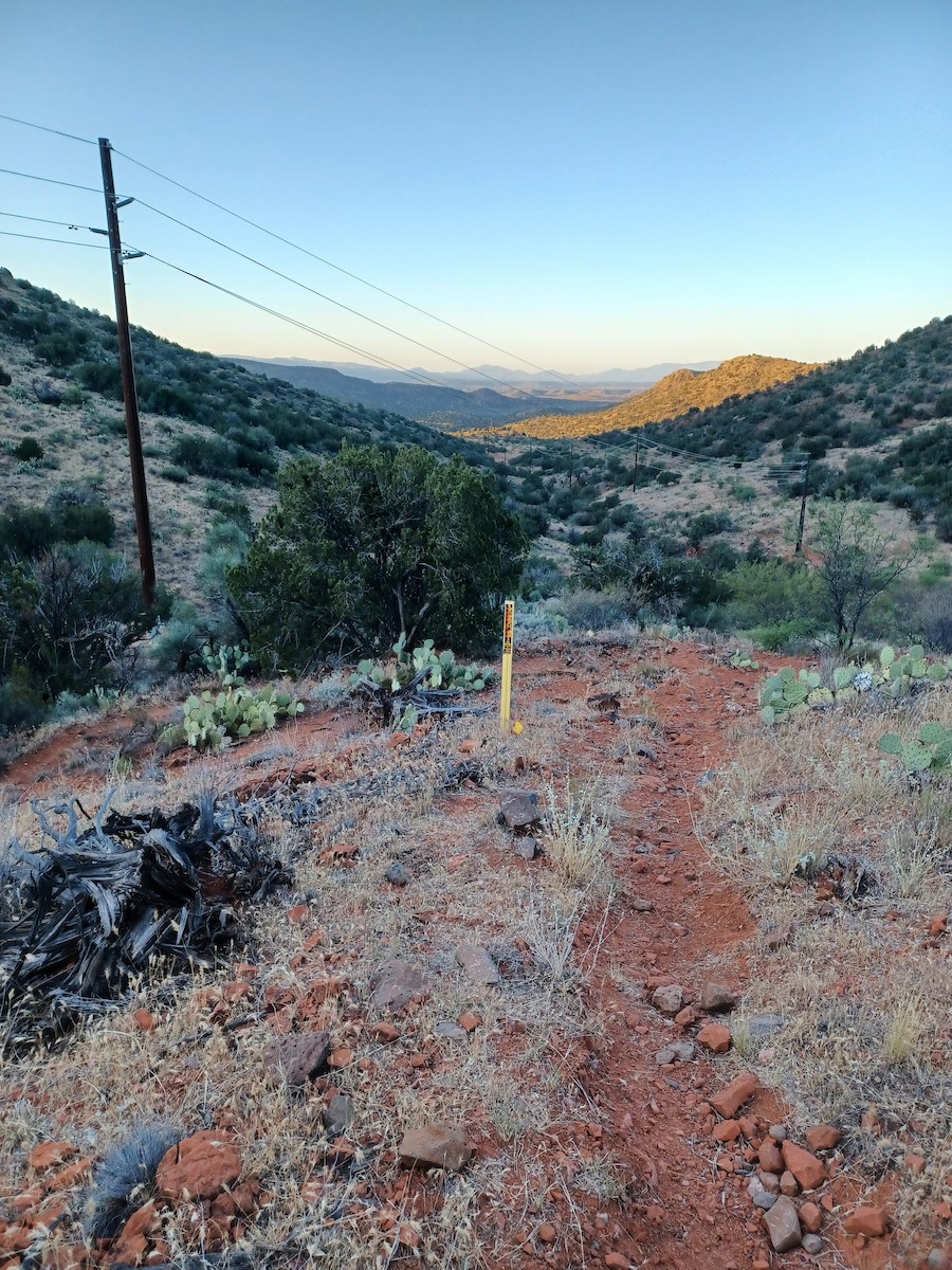 null - ML659384200