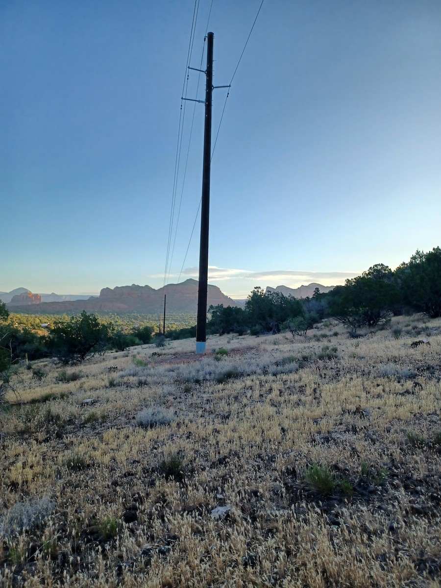 null - ML659384202