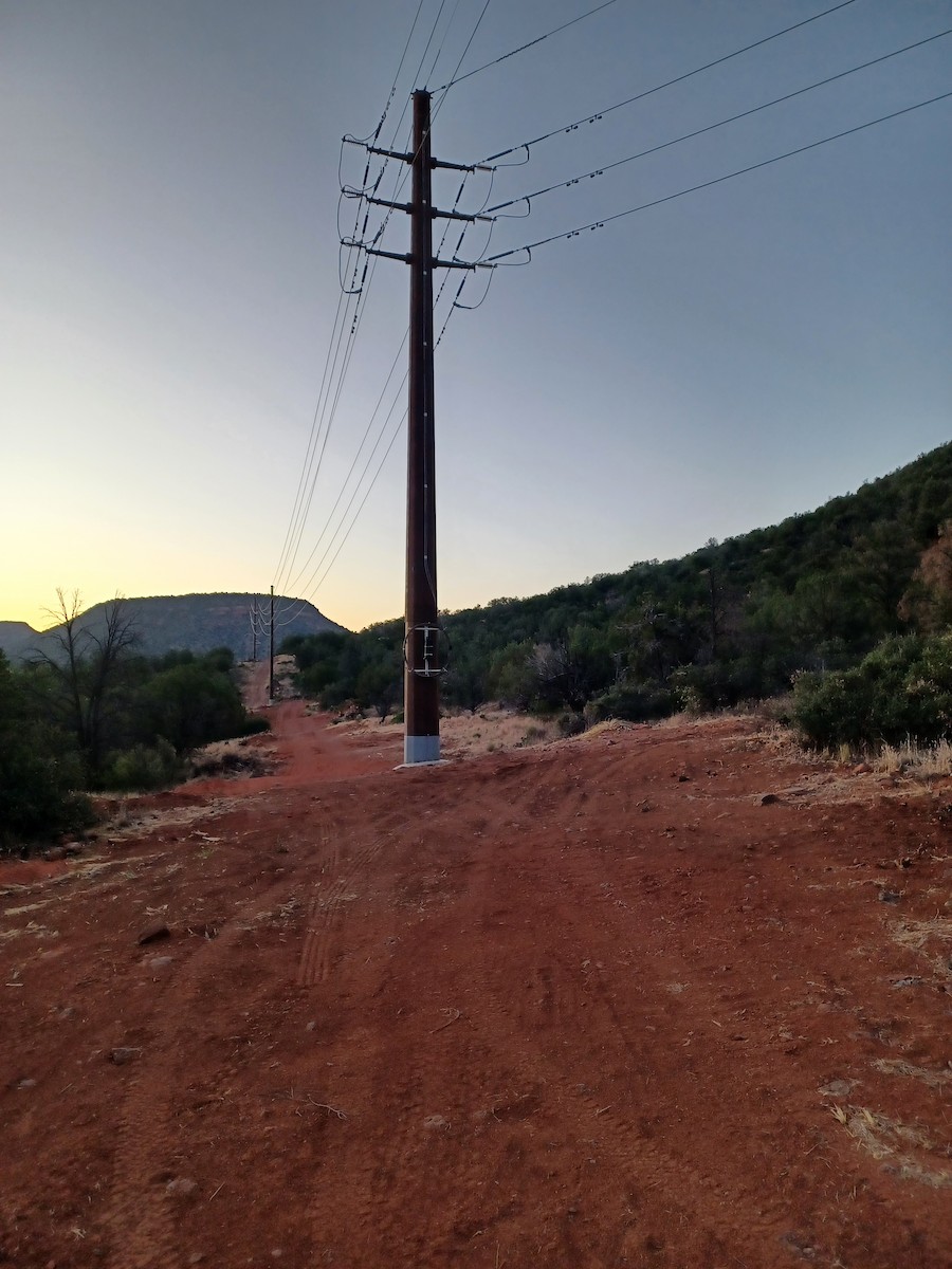 null - ML659384210