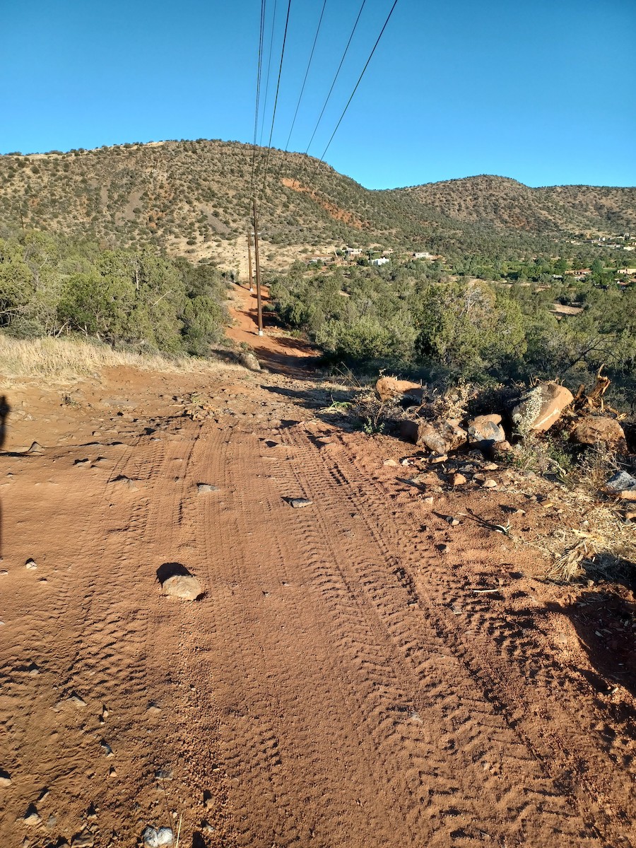 null - ML659384214