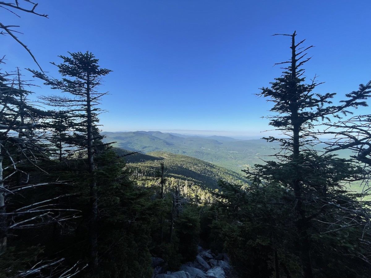 null - ML659406435