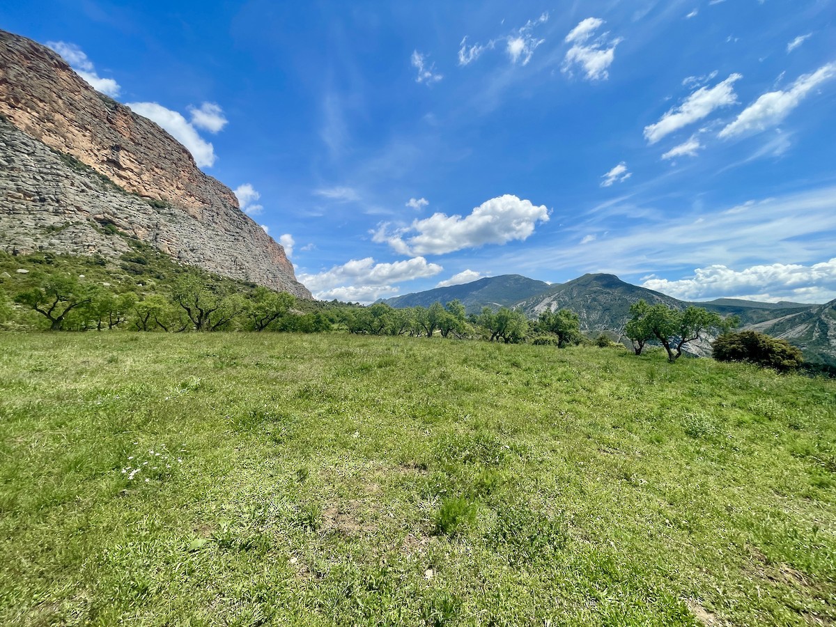 null - ML659412866