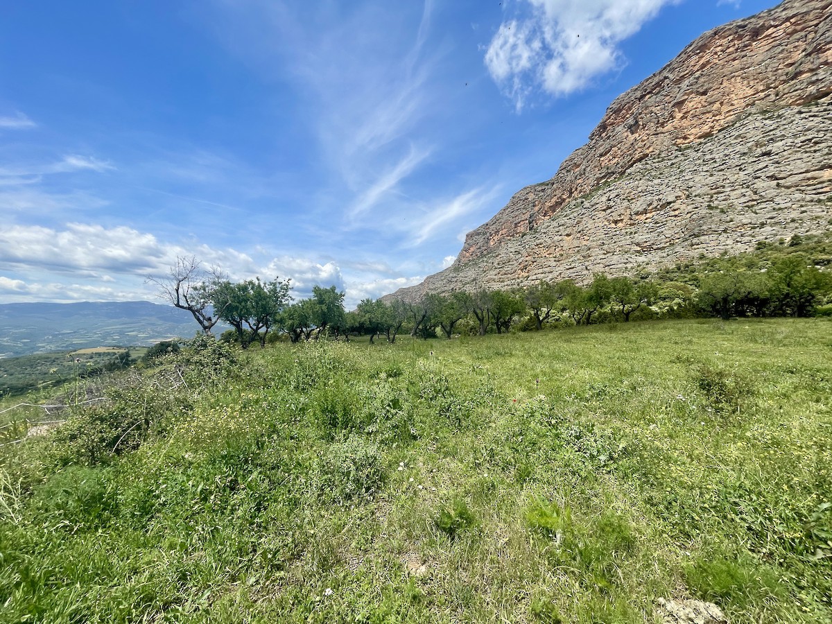 null - ML659412867