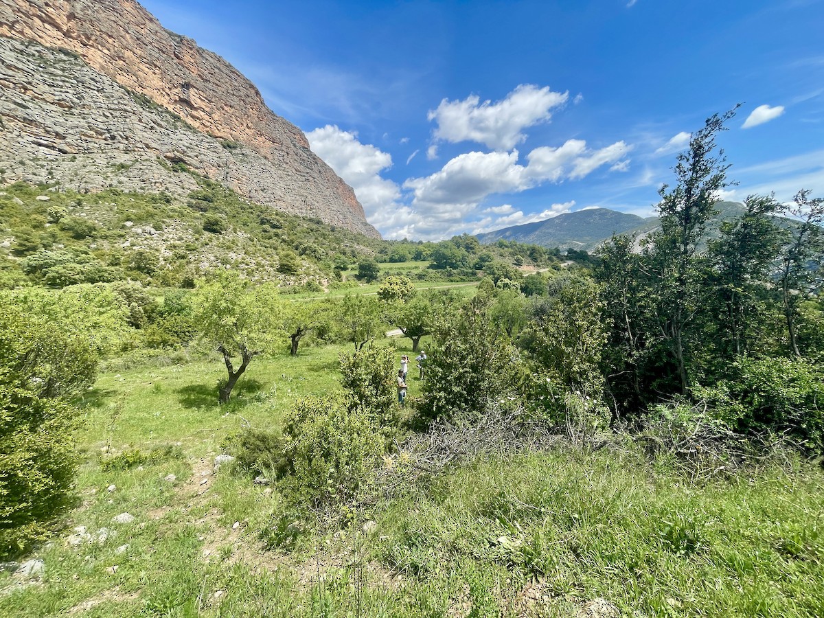 null - ML659412869