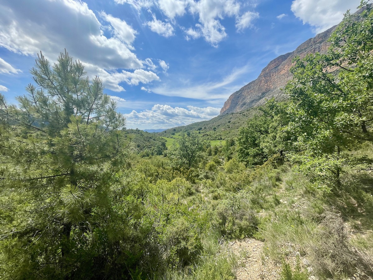 null - ML659412941