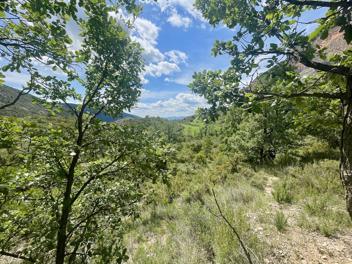 null - ML659412942