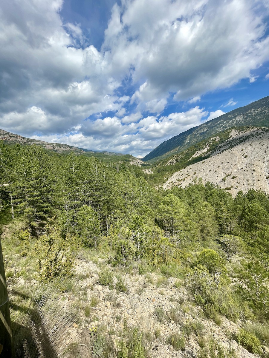 null - ML659412976