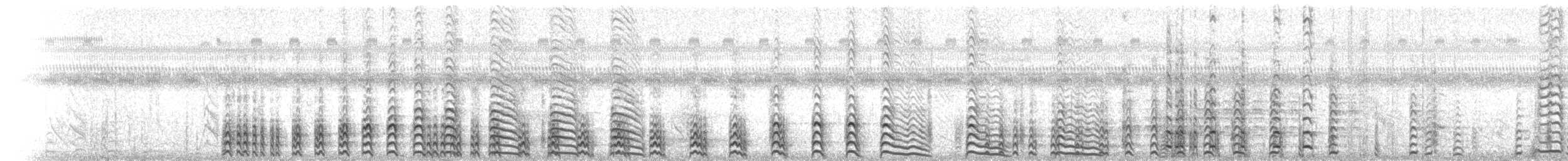 Amerikateichhuhn - ML65941821