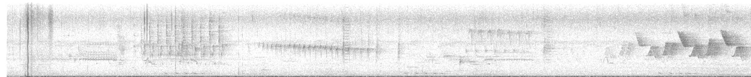 Least Bittern - ML659418909