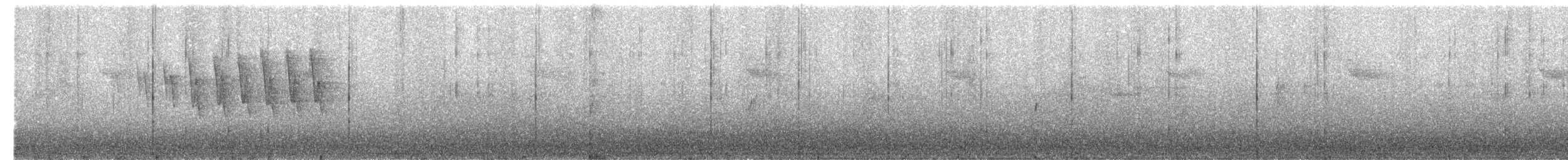 Wilson's Warbler - ML659422793