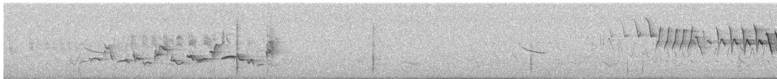 Eastern Warbling Vireo - ML659428194