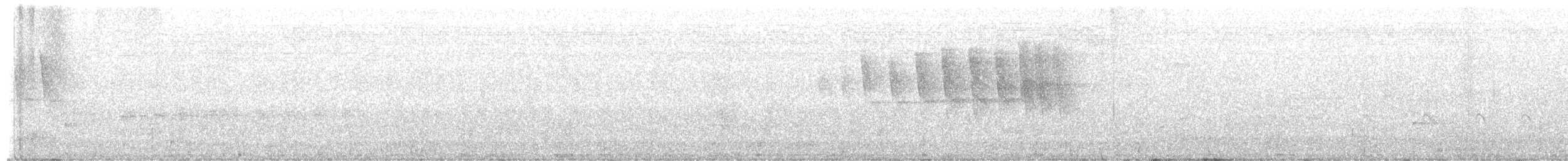 Wilson's Warbler - ML659432225