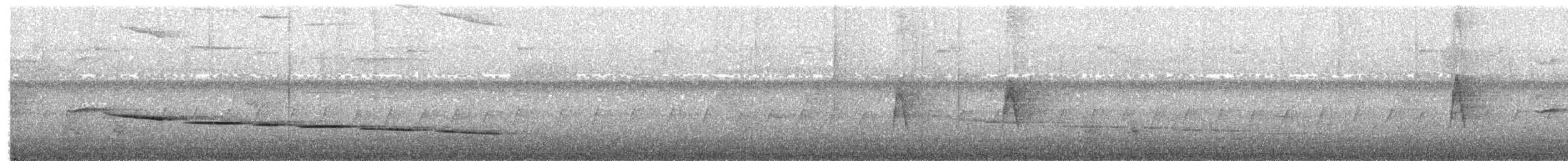 Moustached Babbler - ML659433797