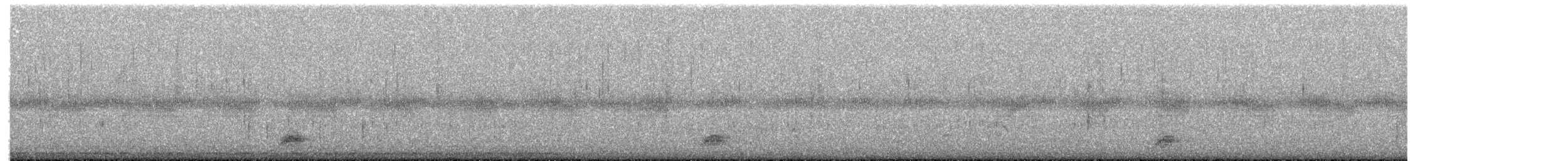 Black-crowned Night Heron - ML659435555