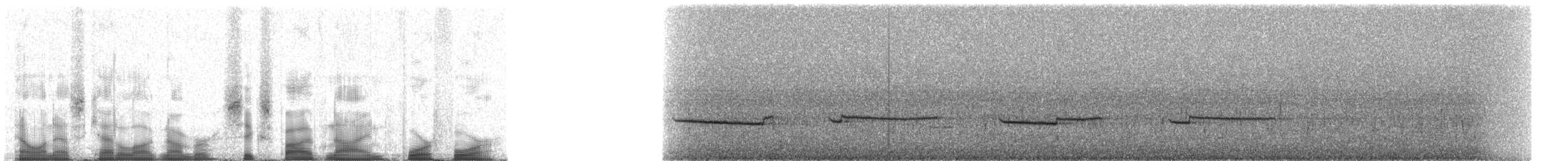 White-eared Bronze-Cuckoo - ML65944