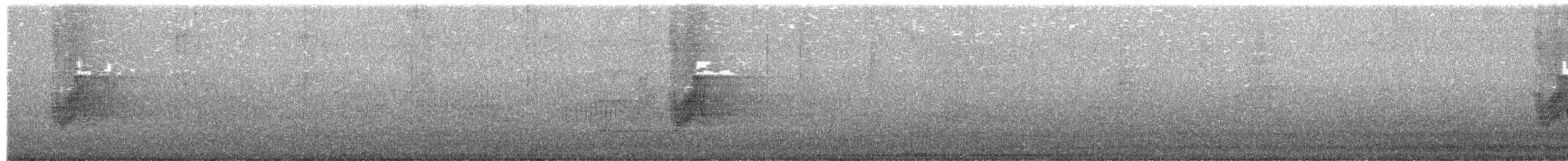 Savanna Nightjar - ML659441148