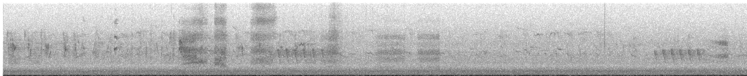 Plain Martin - ML659441304