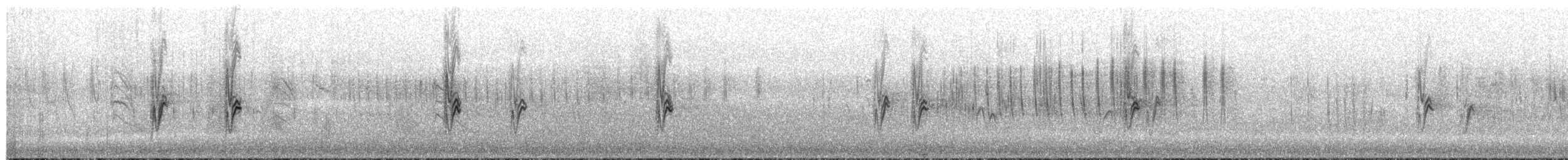 Cape Wagtail - ML659441327