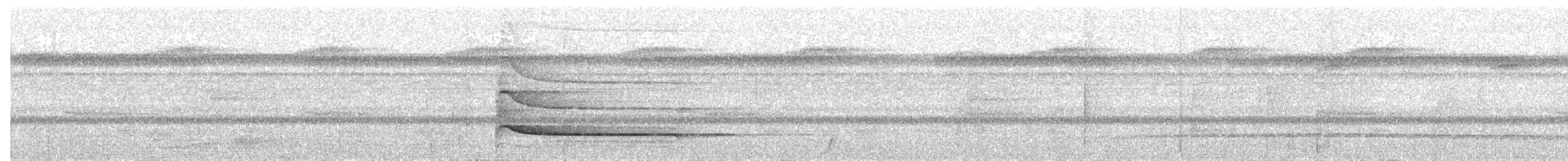 Slate-colored Hawk - ML659441346