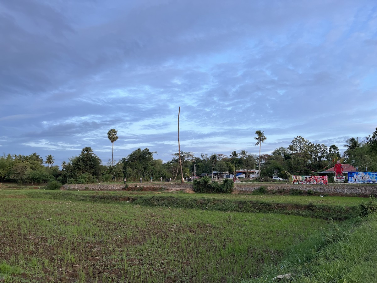 null - ML659442390