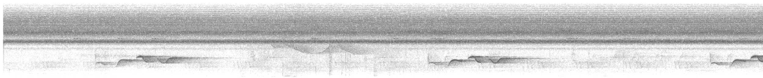 Mangrovemausdrossling (macropterum) - ML659450204