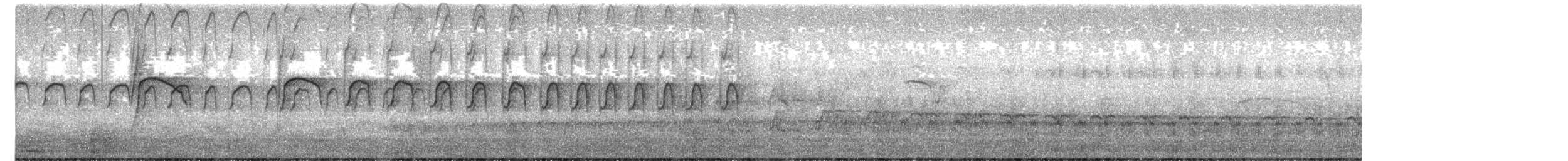 Social Flycatcher - ML659460948