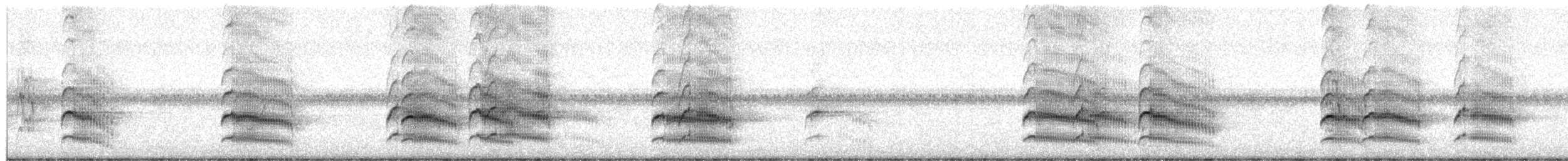 White Woodpecker - ML659461954