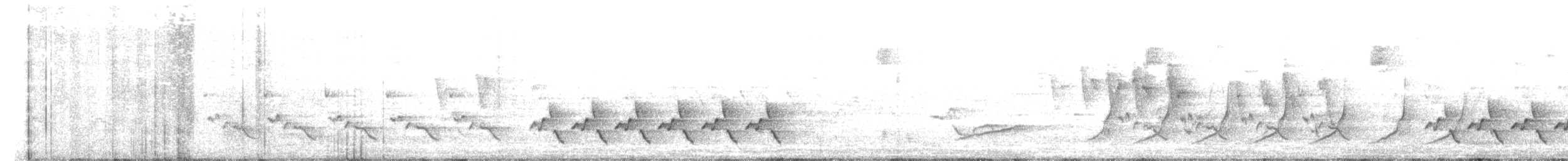 Wilson's Warbler - ML659464691