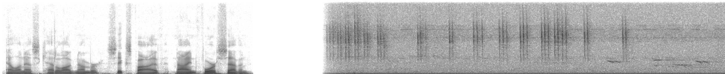 カタジロオーストラリアムシクイ - ML65947