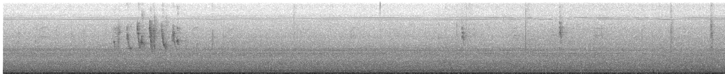 Wilson's Warbler - ML659471519