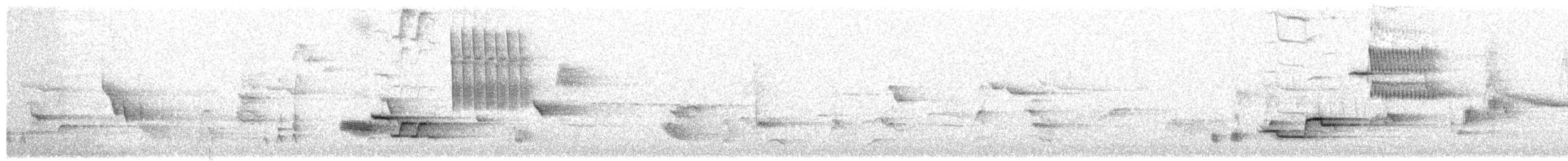 Zorzalito Maculado - ML659476675