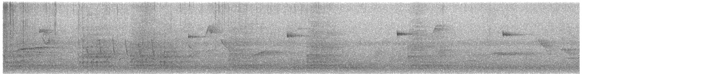White Ibis - ML659481694