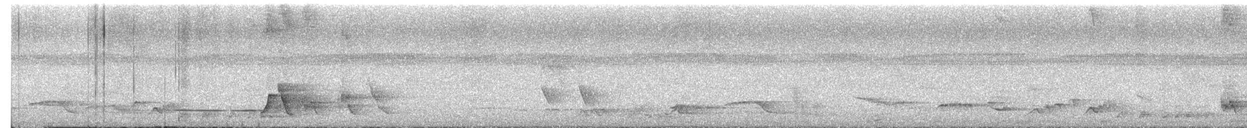 Japanese Bush Warbler - ML659485022