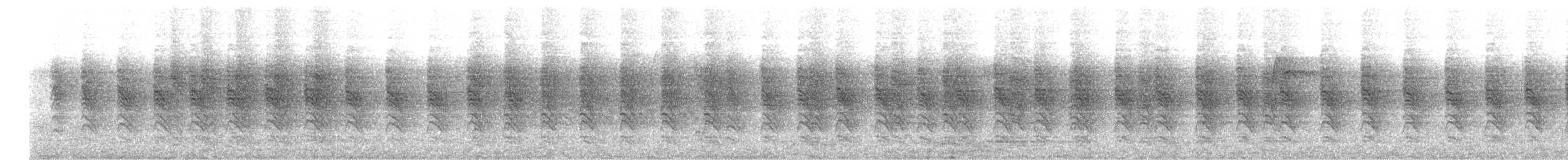 White-faced Robin - ML659490352