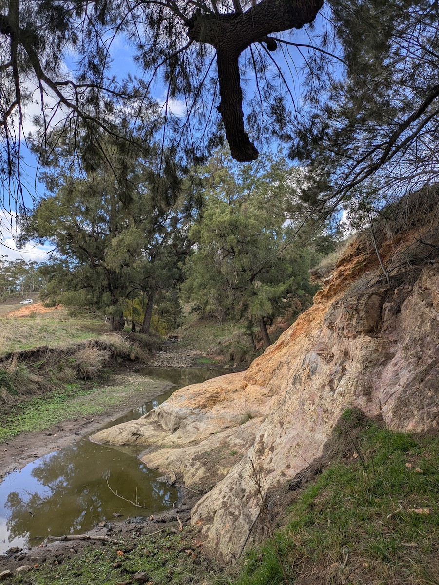 null - ML659494636