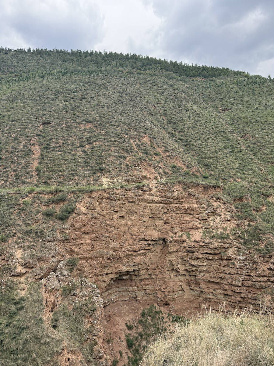 null - ML659495263
