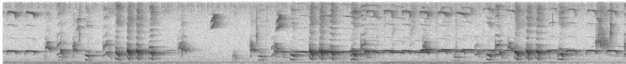Barred Forest-Falcon - ML659496590