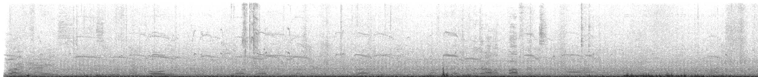 Arctic Tern - ML659497144