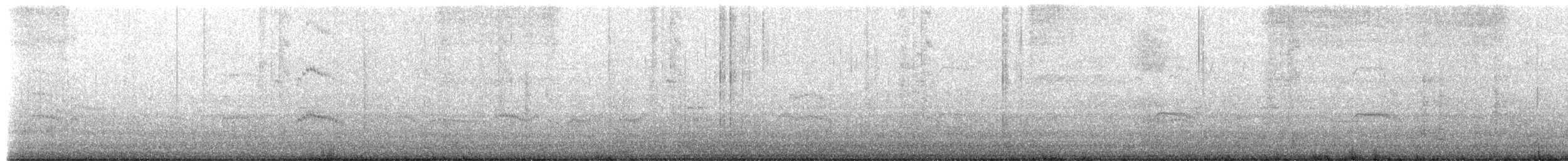 Arctic Tern - ML659497897