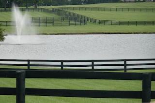 Rushing Wind Lane Farm Pond (restricted access; roadside viewing ...