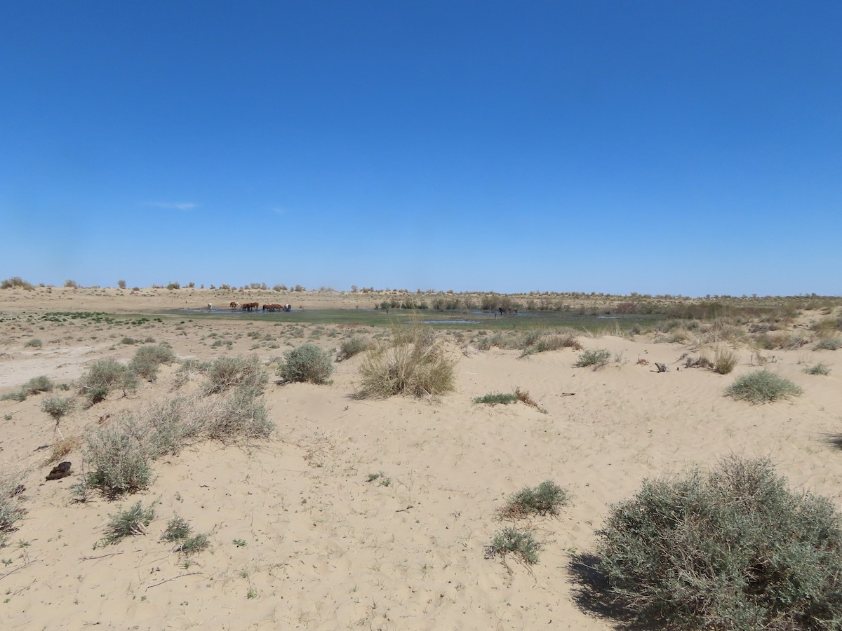 null - ML659506286
