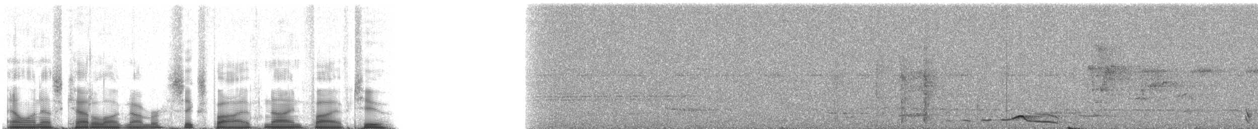 Пітогу темноголовий - ML65952